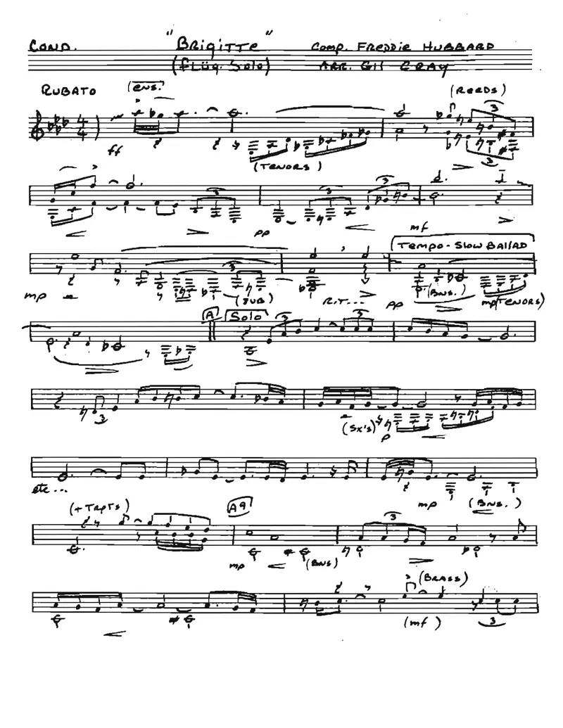 Brigitte score preview