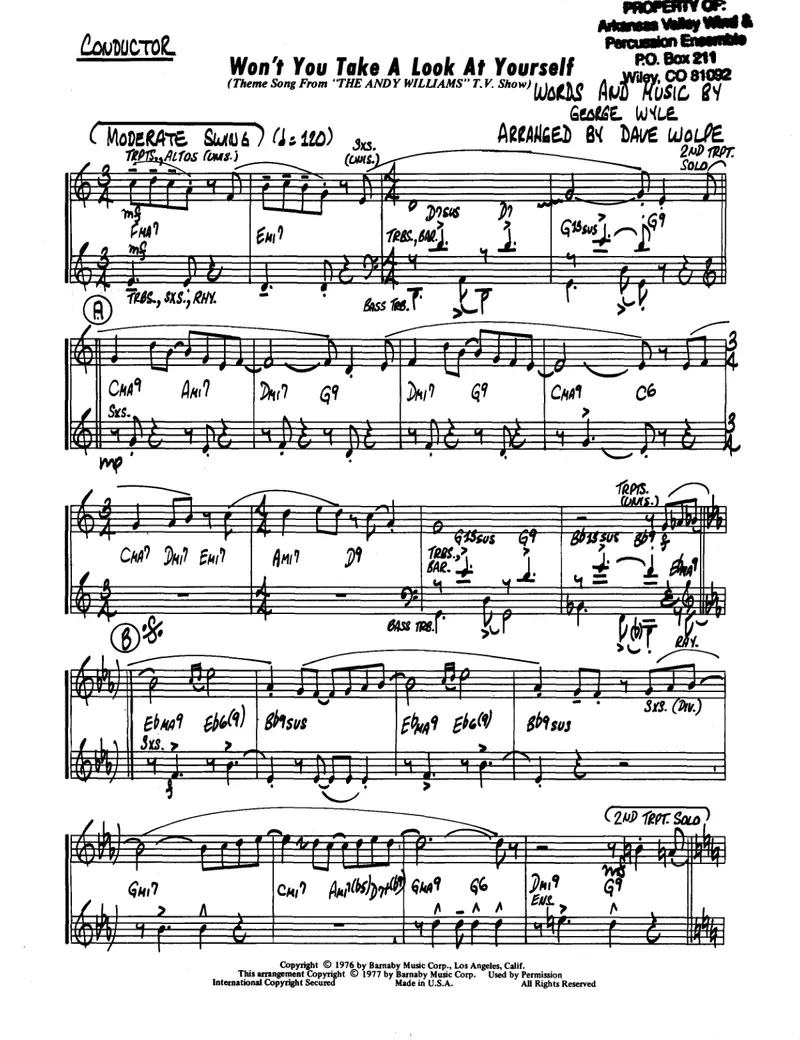 Won't You Take A Look At Yourself score preview