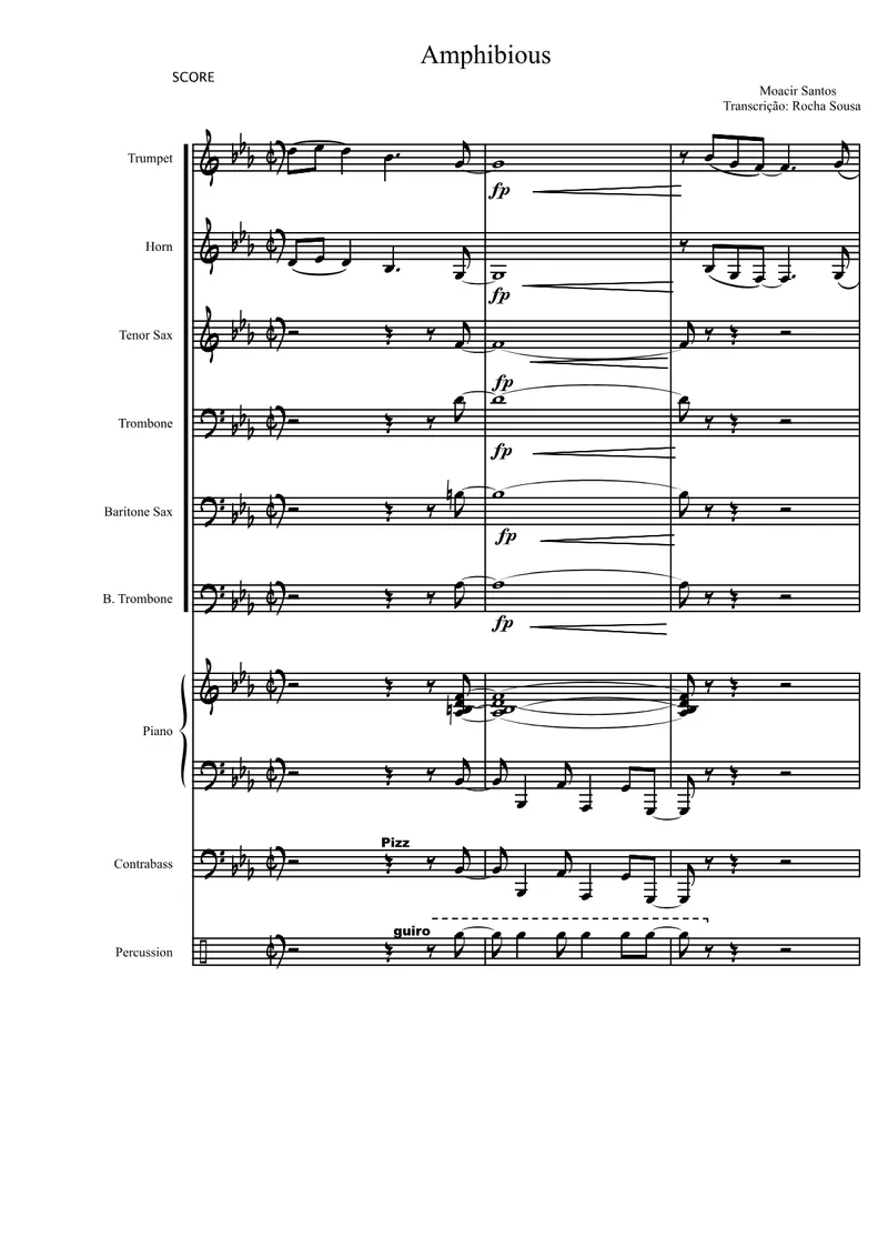Amphibious score preview