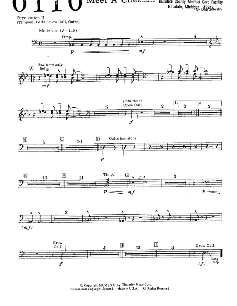 Meet A Cheetah score preview