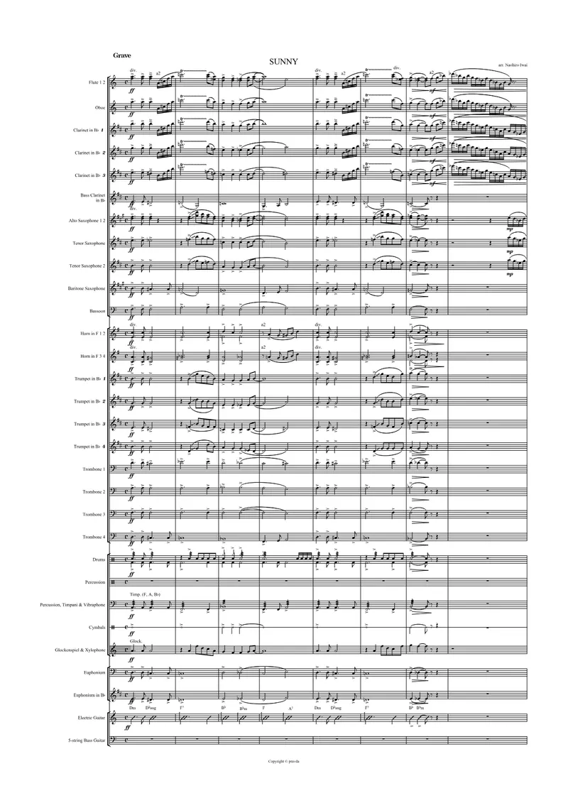 Sunny score preview