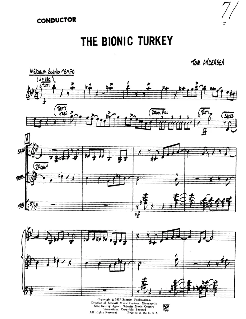 The Bionic Turkey preview page 1