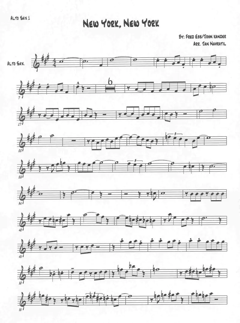New York, New York preview page 1