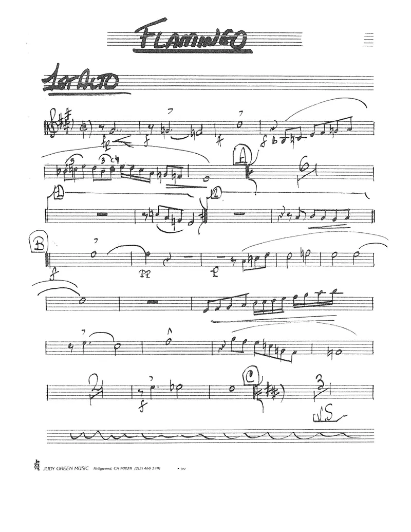 Flamingo score preview