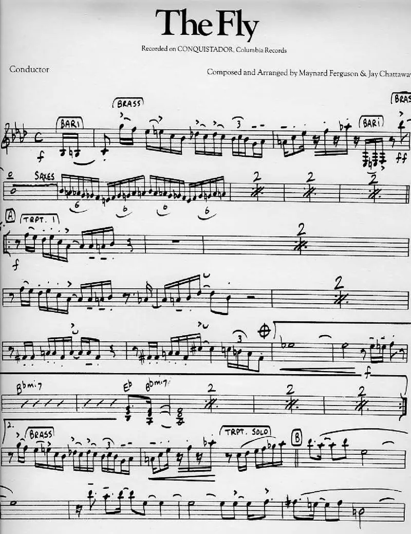 The Fly score preview