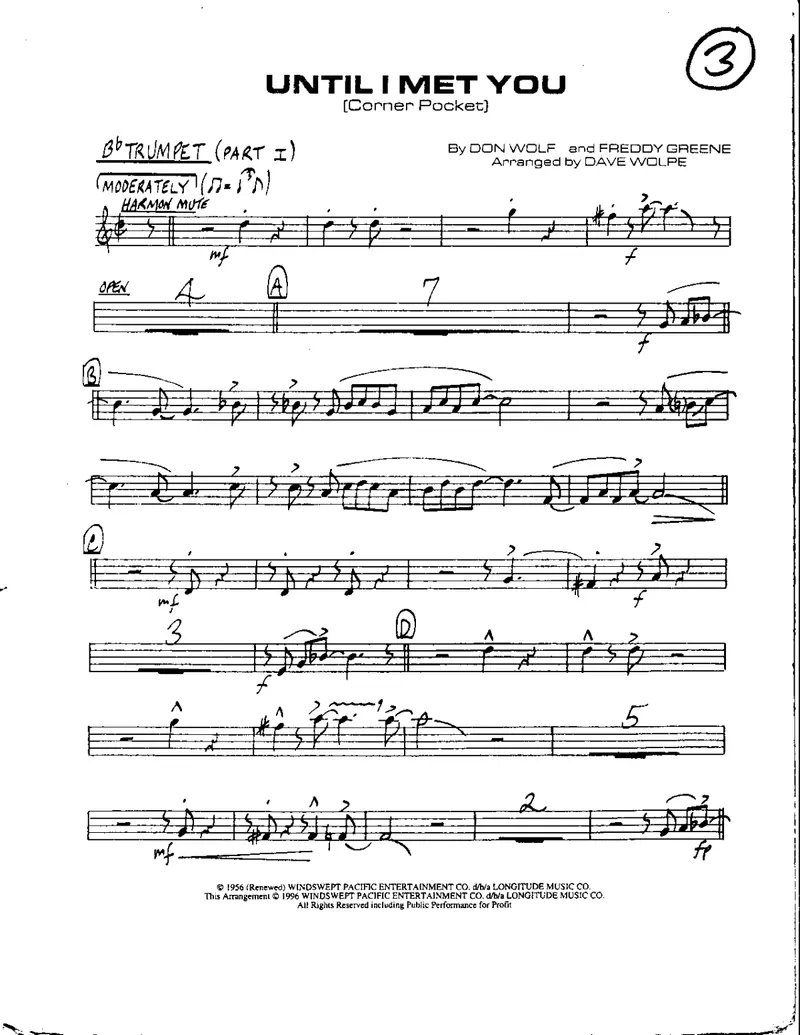 Until I Met You score preview