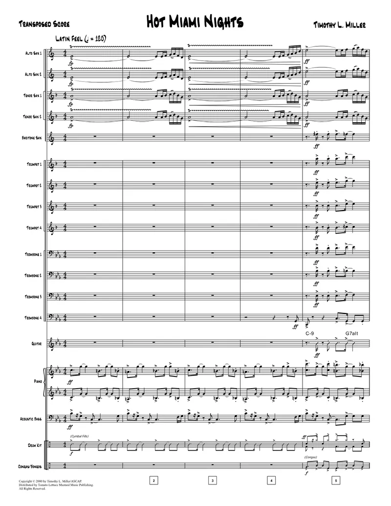 Hot Miami Nights score preview