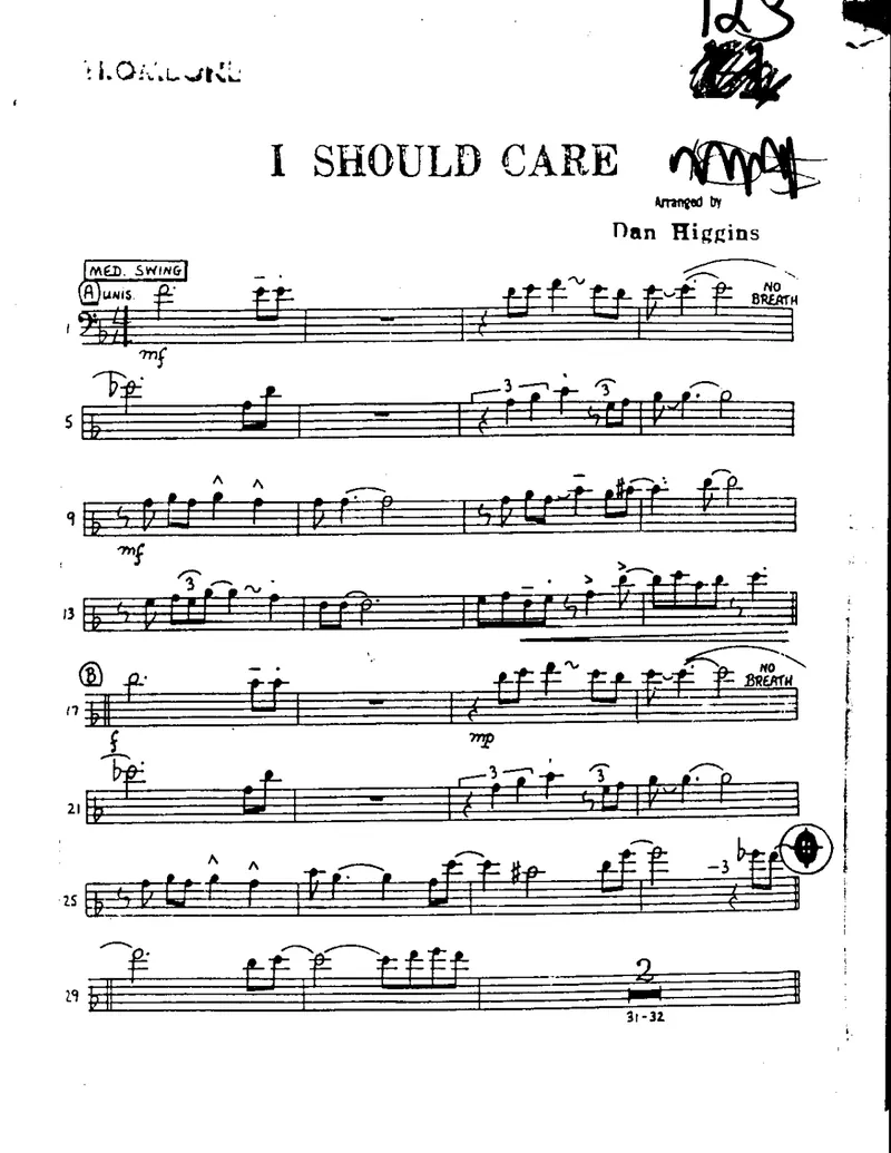 I Should Care score preview