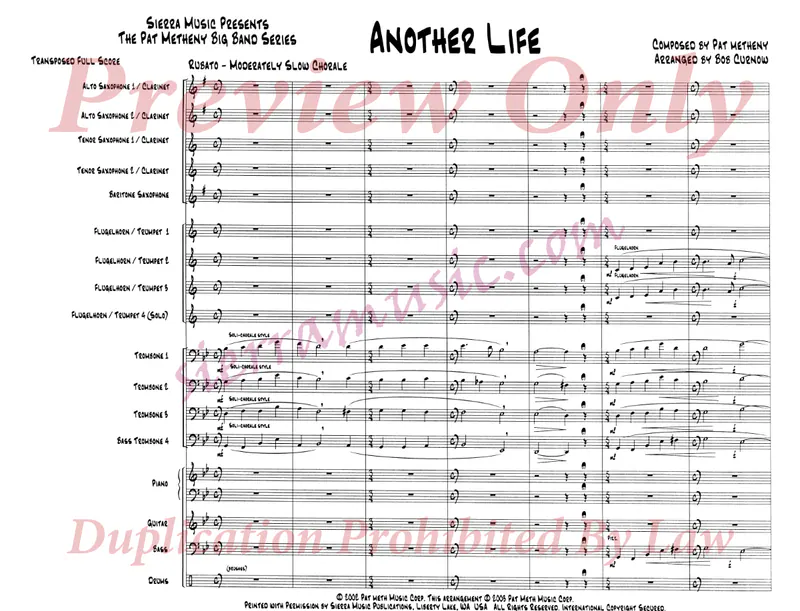 Another Life score preview
