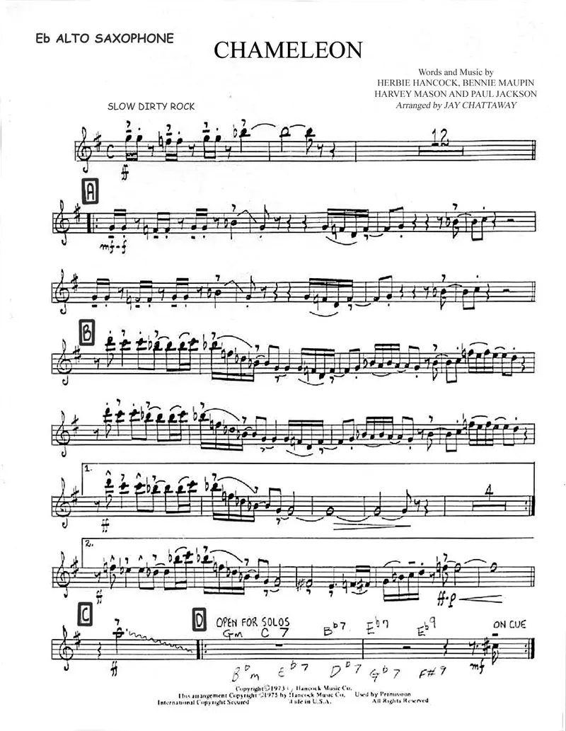 Chameleon score preview