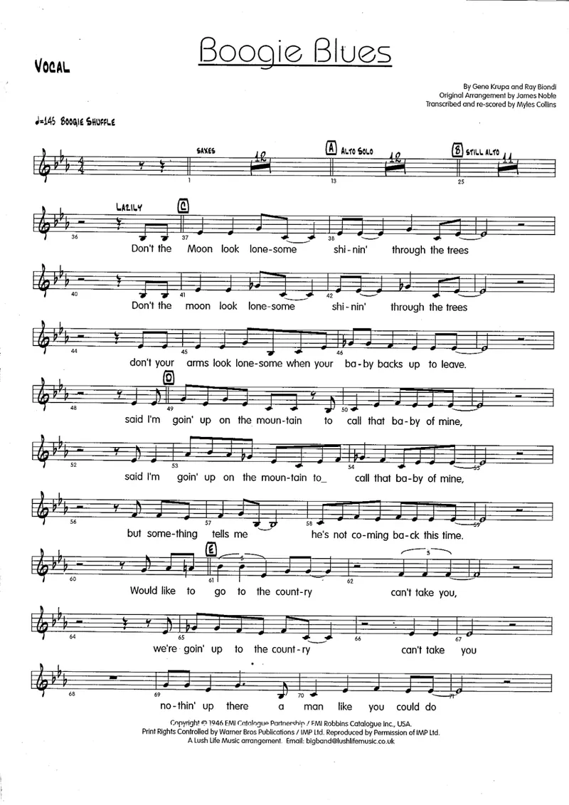 Boogie Blues preview page 1