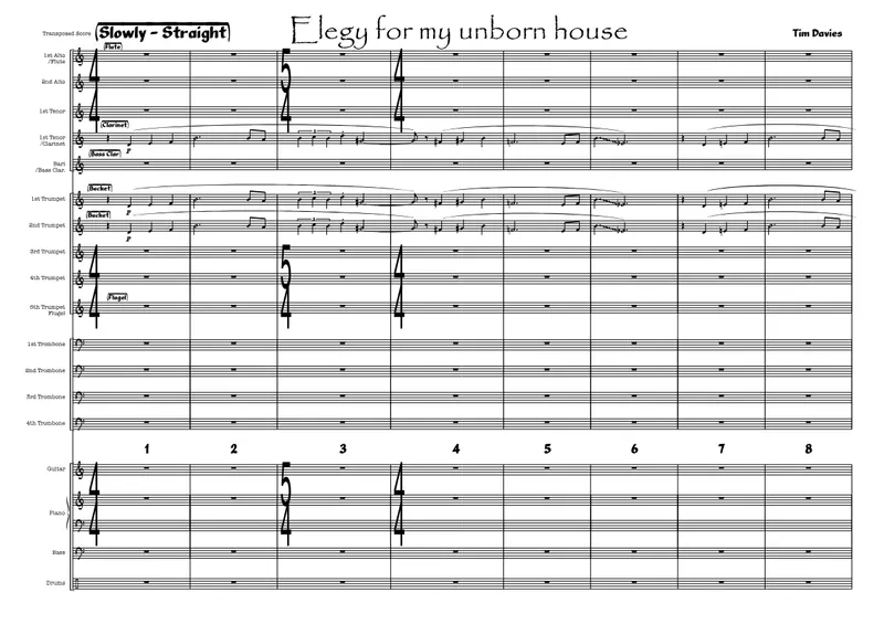 Elegy For My Unborn House preview page 1